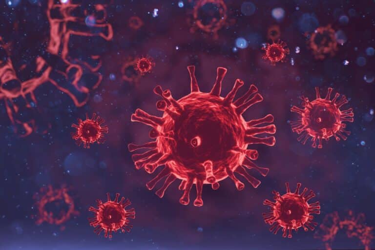 Study: Differential decline of SARS-CoV-2-specific antibody levels, innate and adaptive immune cells, and shift of Th1/inflammatory to Th2 serum cytokine levels long after first COVID-19. Image Credit: ker_vii / Shutterstock